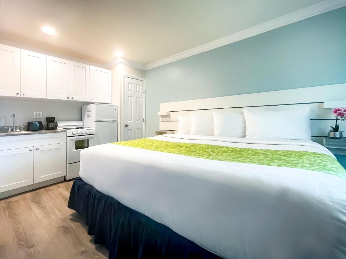The Clevelander Hotell Hollywood Eksteriør bilde