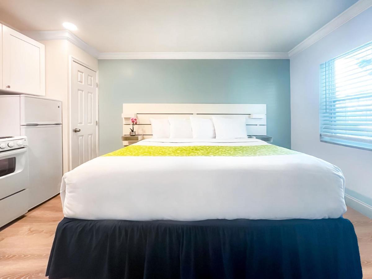 The Clevelander Hotell Hollywood Eksteriør bilde